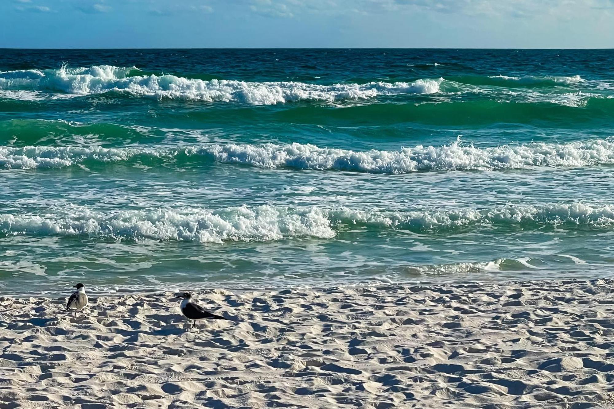 Sand Dollar E200 Pensacola Beach Εξωτερικό φωτογραφία